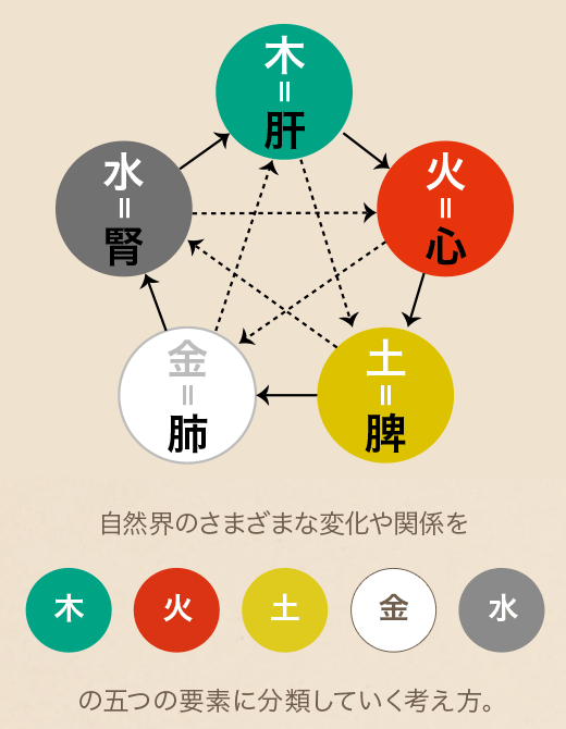 陰陽五行」とは？漢方の基礎知識 | - 漢方ライフ- 漢方を始めると